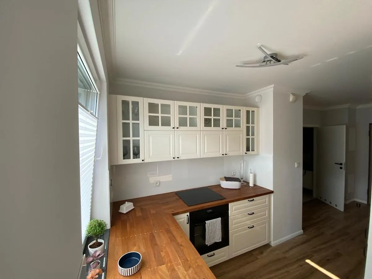City Oasis Apartment